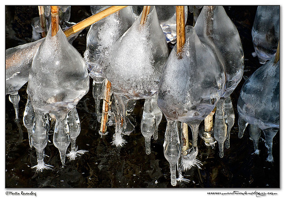 Ice sculpture at the Noord AA at Zoetermeer