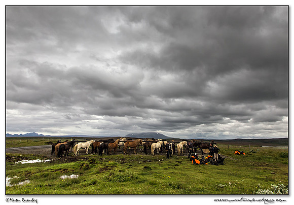 Horses near the Gullfoss Waterfall