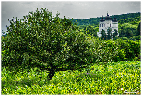 Celic Dere Monastery, center of Orthodoxism in Dobrogea