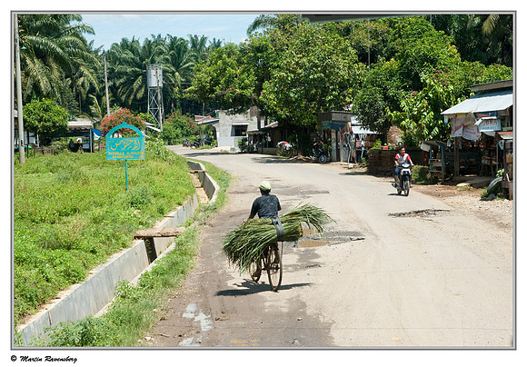 The country side