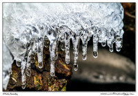 Winter 2013