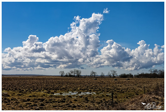 Matsalu National Park