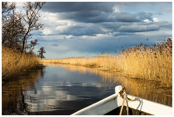 The Kasari River in Matsalu National Park