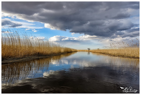 The Kasari River in Matsalu National Park