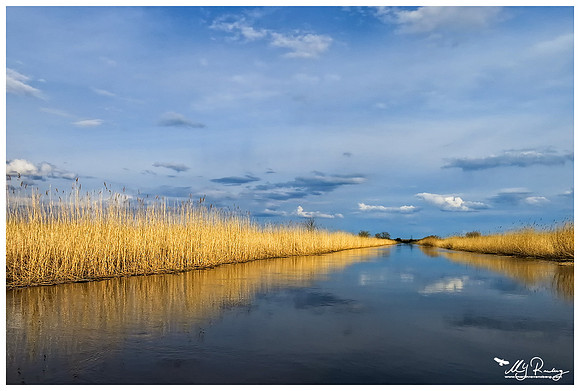 The Kasari River in Matsalu National Park
