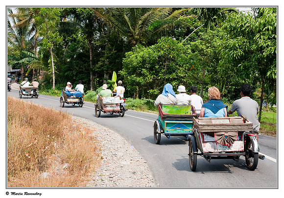 Motorized becak (rickshaw) trip around the village of Bukit Lawang and surroundings.