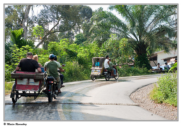 Motorized becak (rickshaw) trip around the village of Bukit Lawang and surroundings.