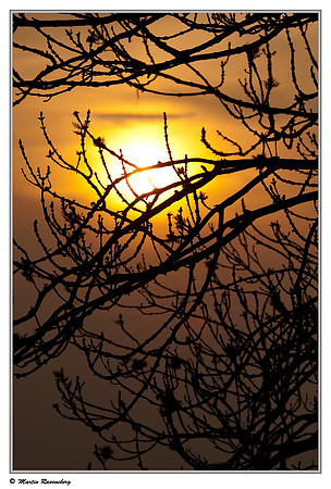 Sunset at the Spijkerboorse Kade near Hazerswoude