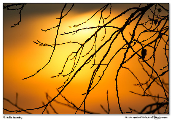 Sunset near Linum and surrounding areas