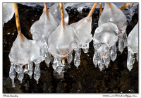 Winter 2012