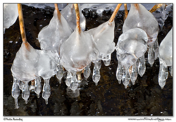 Ice sculpture at the Noord AA at Zoetermeer