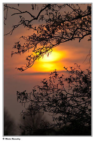 Sunset at the Spijkerboorse Kade near Hazerswoude