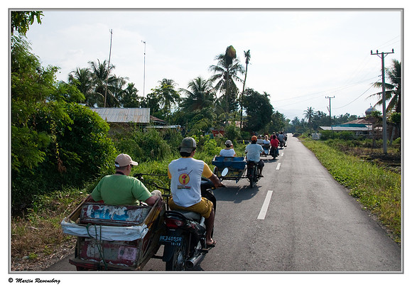 Motorized becak (rickshaw) trip around the village of Bukit Lawang and surroundings.