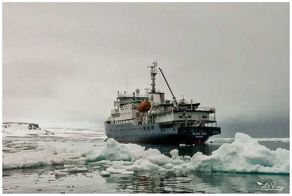 The Plancius near Moffen Island.