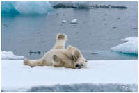 Spitsbergen (2018)