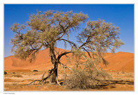 Namibia