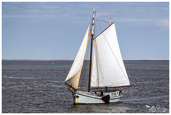 The Wadden Sea