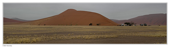 Dune 45 in the Sossusvlei in the Namib-Naukluft National Park
