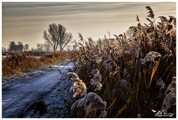 Kinderdijk - a UNESCO World Heritage Site