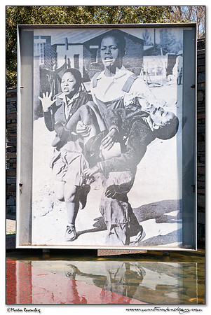 The world famous photo of Mbuyiswa, carrying the critically injured Hector Pieterson in his arms.