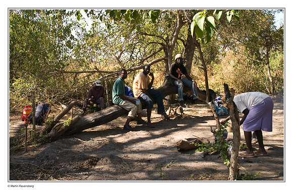 Campsite in the Okavango Delta - Botswana