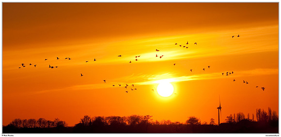 Sunset after the volcanic eruption of the Eyjafjallajökull volcano in Iceland near Hazerswoude in the meadow birds reserve De Wilck
