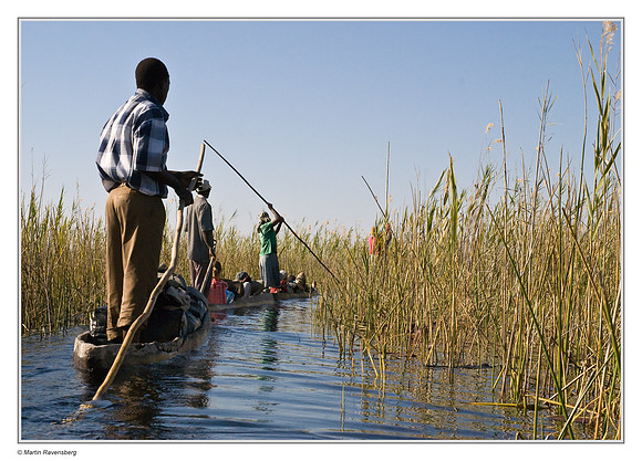 Traveling by mokoro's in the Okavango Delta