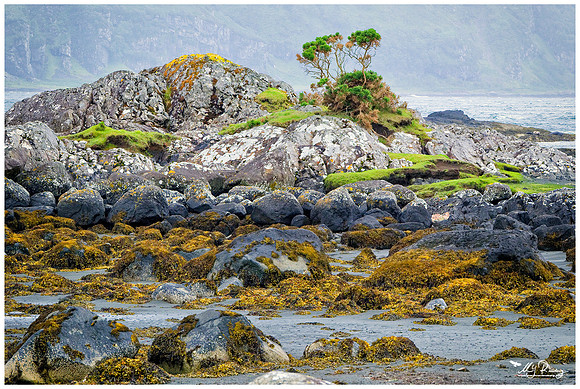 The coastline of the Ilse of Mull - Scotland
