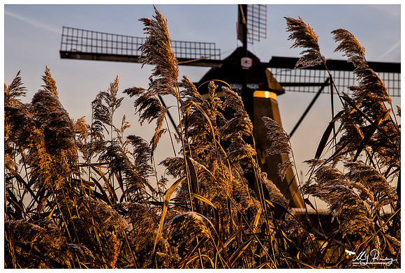 Kinderdijk - a UNESCO World Heritage Site